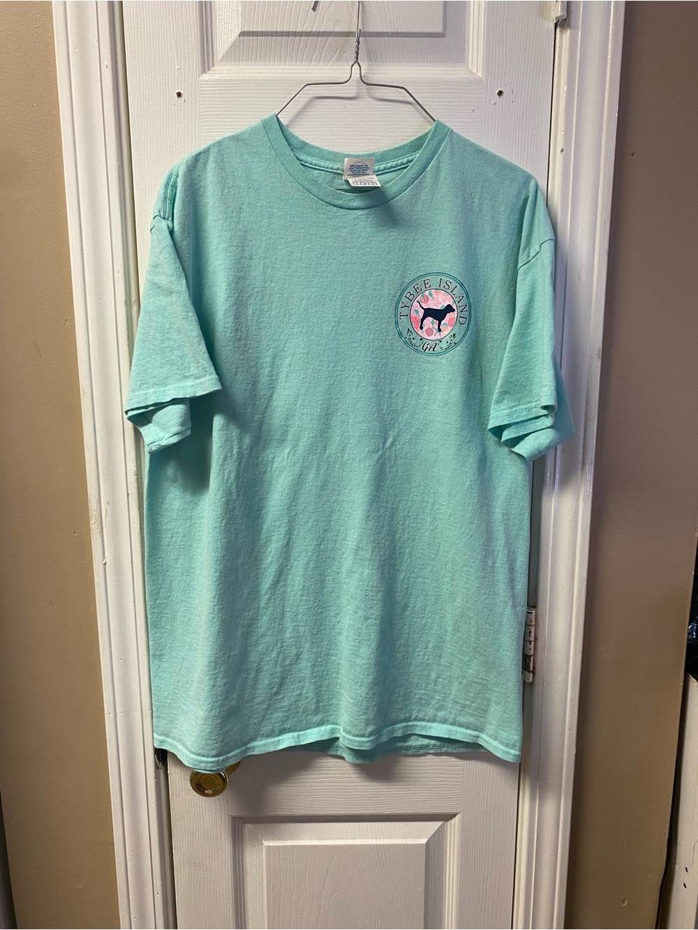 Delta men’s Seafoam Graphic Short Sleeve Tee